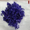 Blue purple