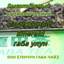 Volcanic gaba oolong Emerald 高山火山岩翡翠嘎巴乌龙