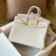 Platinum Bag Branches 2024 New Women's Commuter Large Capacity Shoulder Crossbody Handbag 25/30CM
