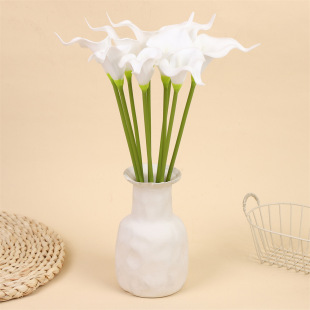 ����PU�����R��ɏ�ٻ��������Ҿӻ�c�b������Բ廨�羳���Q