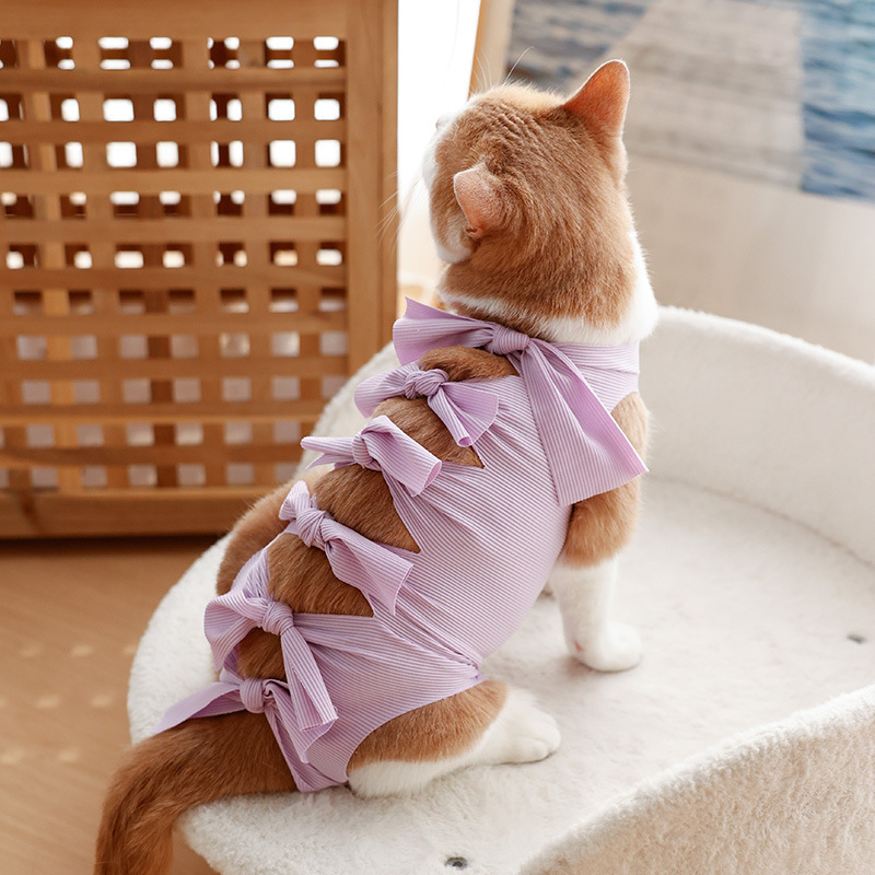 猫咪绝育服母猫手术服衣服透气戒奶服奶服公猫防舔术后宠物猫猫|undefined