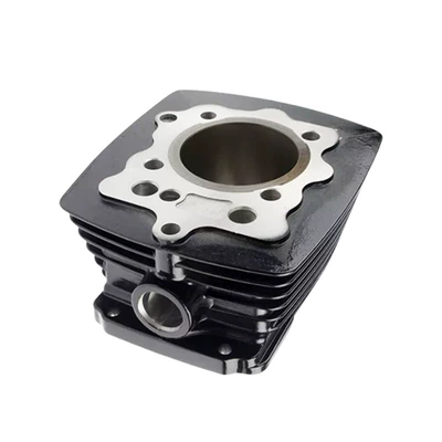 Ft150 E0304kc08 Forza150 – Cylinder and parts