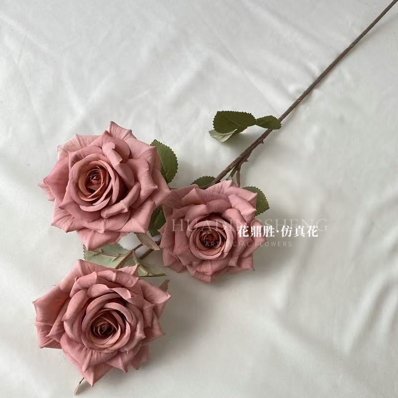 연꽃색