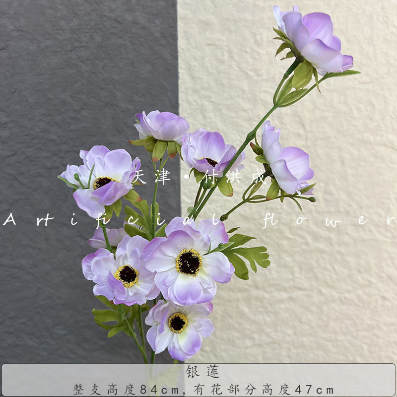 8 머리 아네모네 - 연한 보라색