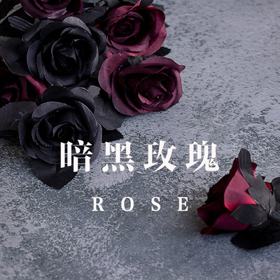 黑暗系玫瑰黑玫瑰红玫瑰复古暗黑玫瑰网红摆拍ins装饰摄影道具花|ru
