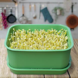 ������������ѿ��o������P�l�Nֲ��ѿ�Gɫ����ȫ������P