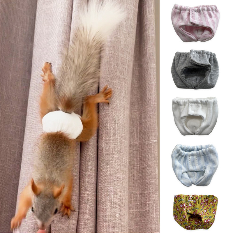 Cross-Border Squirrel, Marmot, Hamster, Diaper Changing, Diaper, Outing Supplies, Training Clothes, Absorbent Inner
