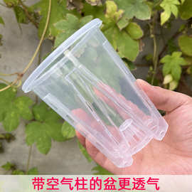 水苔蝴蝶兰专用花盆透明青山盆控根透气多肉兰花花盆塑料盆栽家用