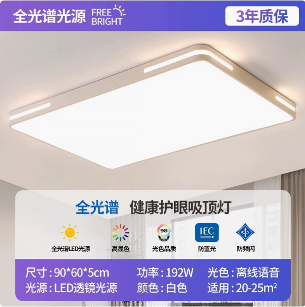 LED rectangular ceiling light, lights for living room for corridor for gazebo