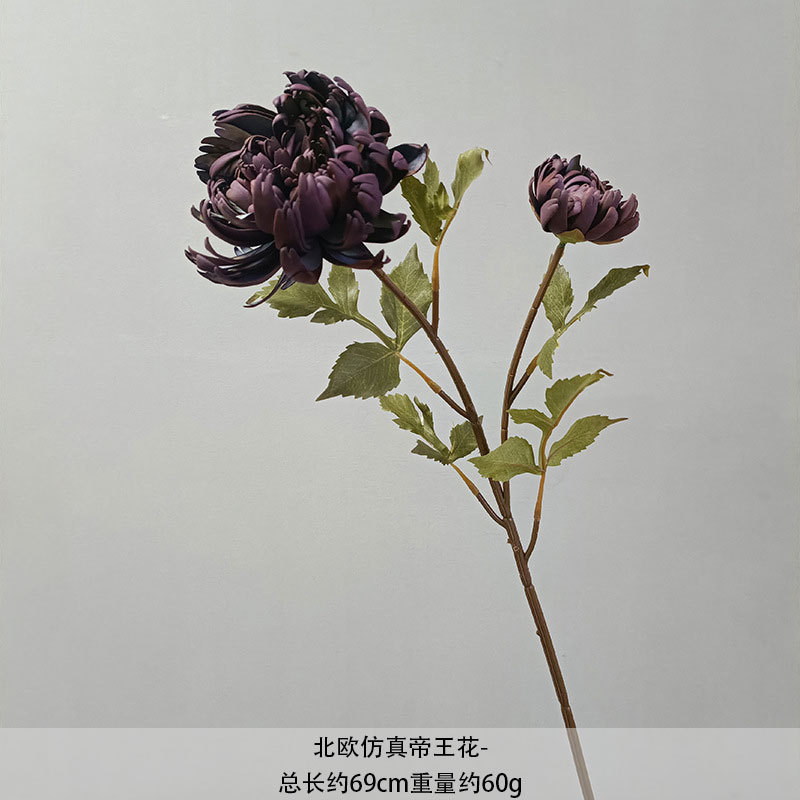 보라색
