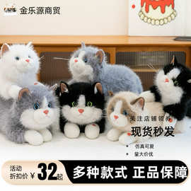 新款仿真布偶猫咪正版公仔毛绒玩具发声玩具跨境专供男女生日礼物