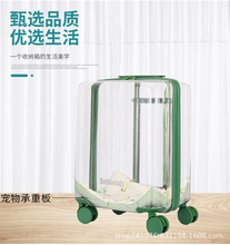 ����S���]��؈��������U�乷��̫��œ���ﱳ��������؈��������