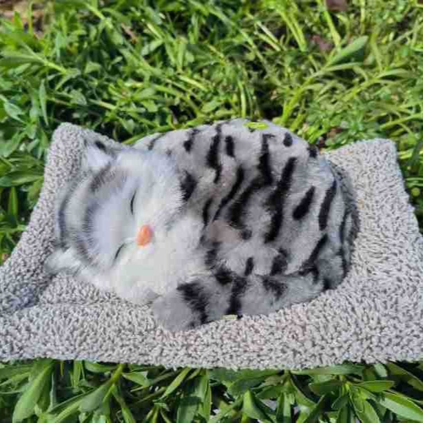 Decoración interior del automóvil adornos de automóviles carbón activado para dormir gato muñeca bolsa de carbón de bambú para gatos para eliminar formaldehído para eliminar el olor de carbón de bambú gato image 5