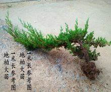 ����ӭ�������͵ذ��쾰�҃����L�����F�k�����Sɽ�_�h�ɾ��^���