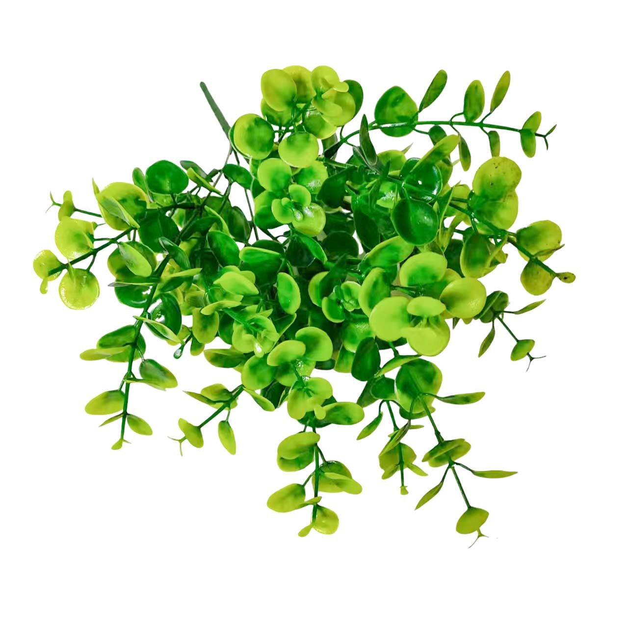 微信图片_20240228113239