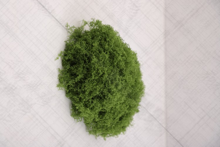 颜色分类_08_丝状苔藓深绿50克