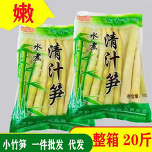 江西新鲜竹笋清水嫩笋尖春笋火锅串串小竹笋500g批发一件代发