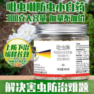 С��ș���x�����x����򻚤�x���xС���w���ܶ�������ֲ��ͨ��300g