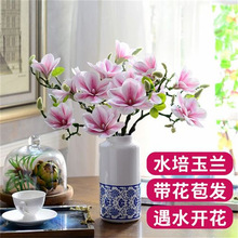 ˮmrлD÷֦rֲ҃ﻨܺB