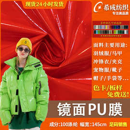 镜面PU皮革防水风衣面料 漆皮镜面PU棉衣羽绒服箱包帽子鞋材布料