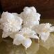 [in stock] Non-fire Aromatherapy Accessories 4.5 Fusang Chrysanthemum Hand-made Herb Flower Aromatherapy Dried Flower Home Decoration