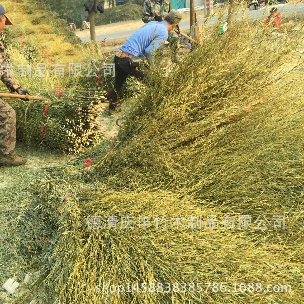 Новый оптовый список по происхождению (шерстяной материал)