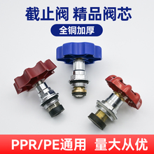√ppr截止阀阀芯全铜加厚pe升降式水阀开关闸阀4分20 25 32 40 50