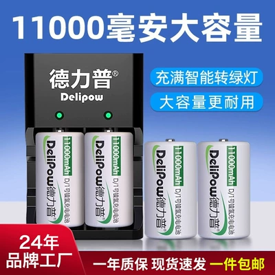 Delip No.1 battery charging set D-type rechargeable battery No.1 water heater gas stove Emergency Light Battery