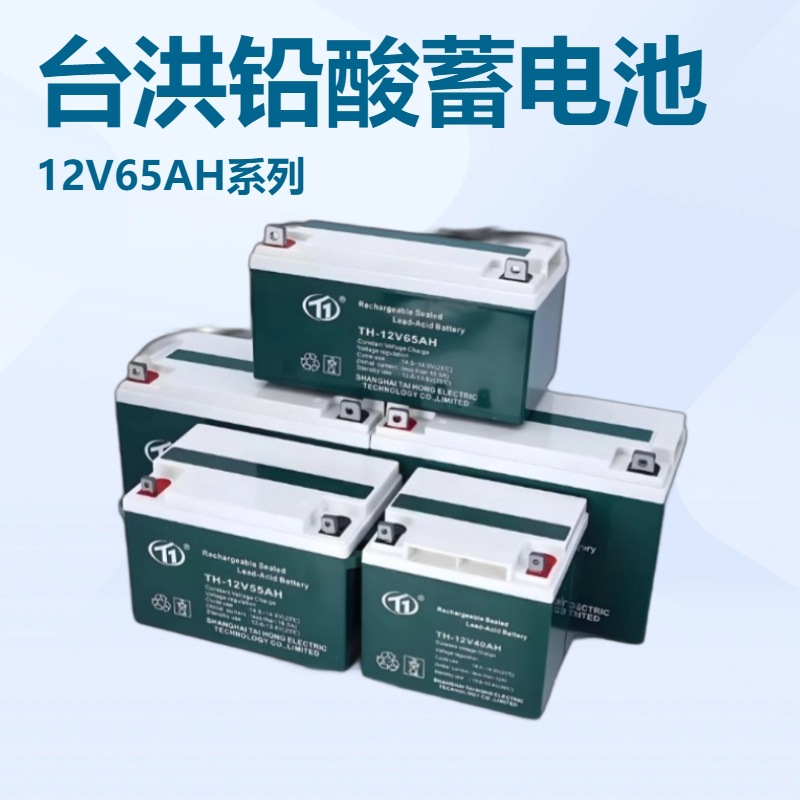 工业铅酸台洪蓄电池TH-12V100 7 17 24 38 40 65 120AH机房直流屏