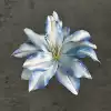 Silk 13CM lily flower head-new blue
