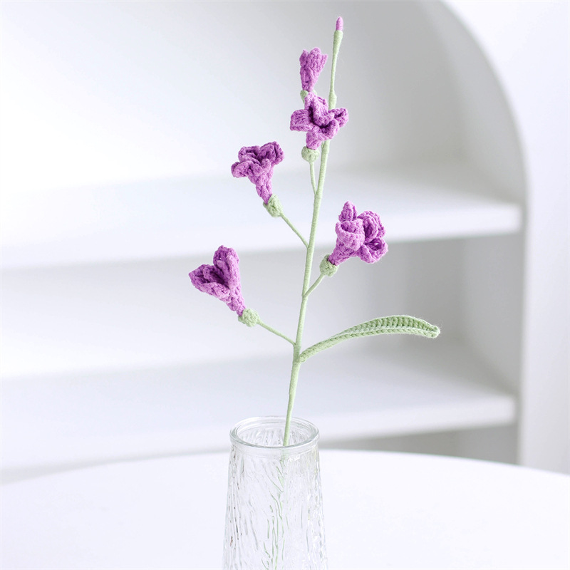 프리지아 딥 퍼플