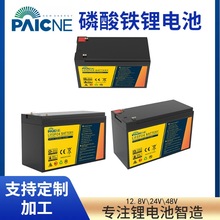 羳؛ԴF늳Lifepo4 batteryԴ