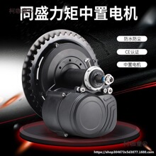 行車盛馬達電動山地中置自行車配件助力力矩電機助力車電機麥太保