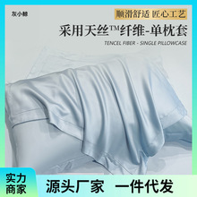 纯色天丝枕套一对装家用卧室高级感冰丝枕头套枕芯内胆套凉爽顺滑