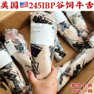 ����245IBP���300��ţ����ʽ����ţ�ڗl�nʽѩ��ţ�������Ƶ�