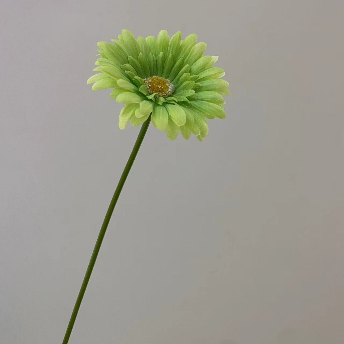 녹색