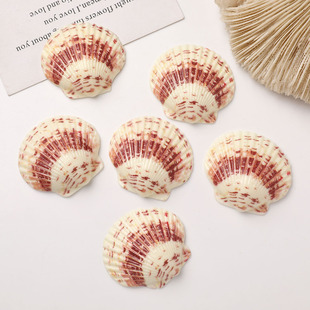��߅�ȼ��L����Ȼؐ����֬�NƬ���diy�l�A����Ь��Ь�������