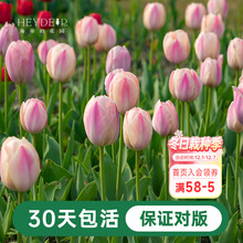 ���ٵĻ��@������N����Ȼ���������̨����ͥԺ�ɵ������5��