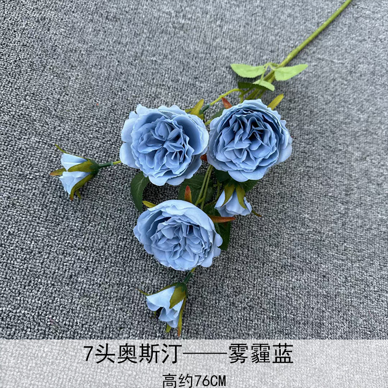 7 cabezas Austin azul neblina