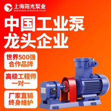 【定制】2CY齿轮式电动输油泵 卧式齿轮油泵 齿轮润滑泵 阳光泵业