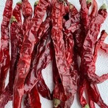 FݶGl 250һ  ΢uϻ偳ϼt