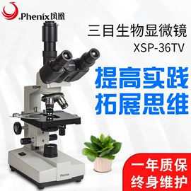 目镜、物镜;显微镜;光学机具