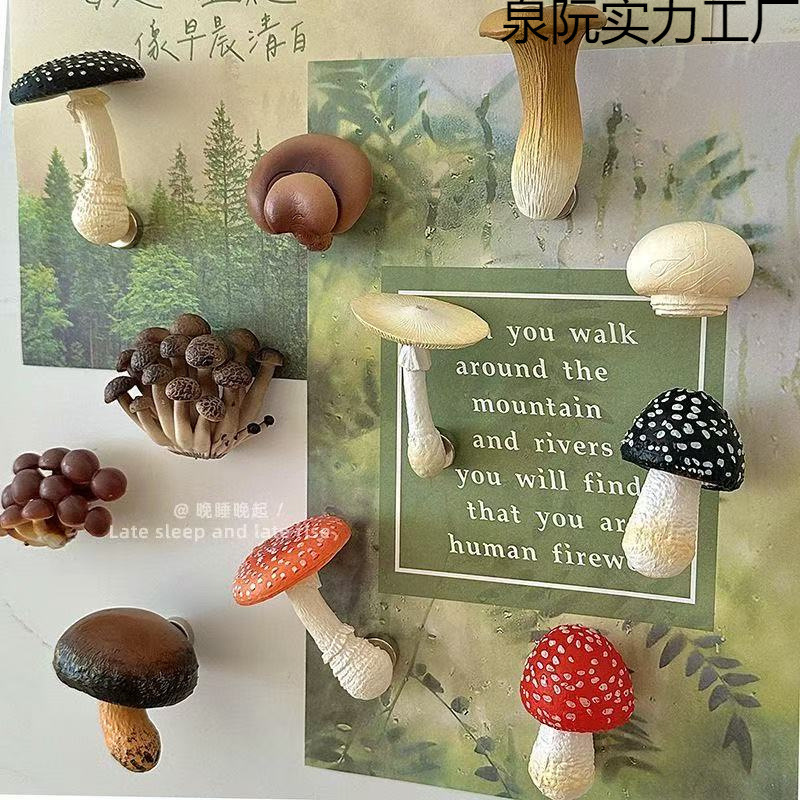 磁性贴立体云南菌菇香菇蘑菇冰箱贴磁吸装饰贴创意家居装饰品