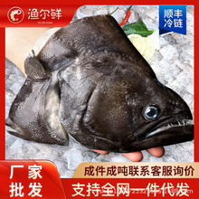 �o����̖�l�~�^���r�F����������~�^��fƬ�~�^���rˮ�a���l