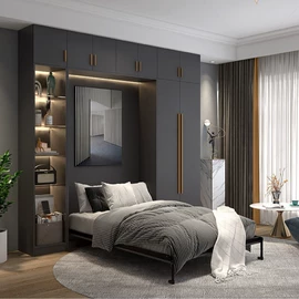 定制衣柜;衣柜;电视柜