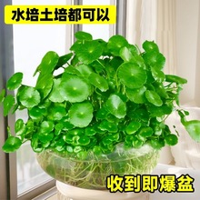 X~Xˮֲ҃ѾGֲ~kһļB~