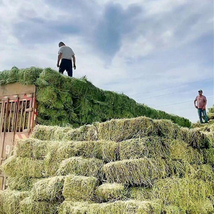 ���a��ޣ�ݸɲ�ιţι�R�ԵĲ���ţ��ɲ��������������ϝ�Z