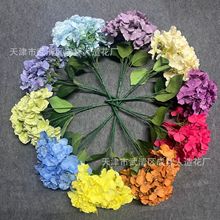 5�^������滨�����o�M�Ļ�c�Ҿә����b��� ���^��������ٻ�