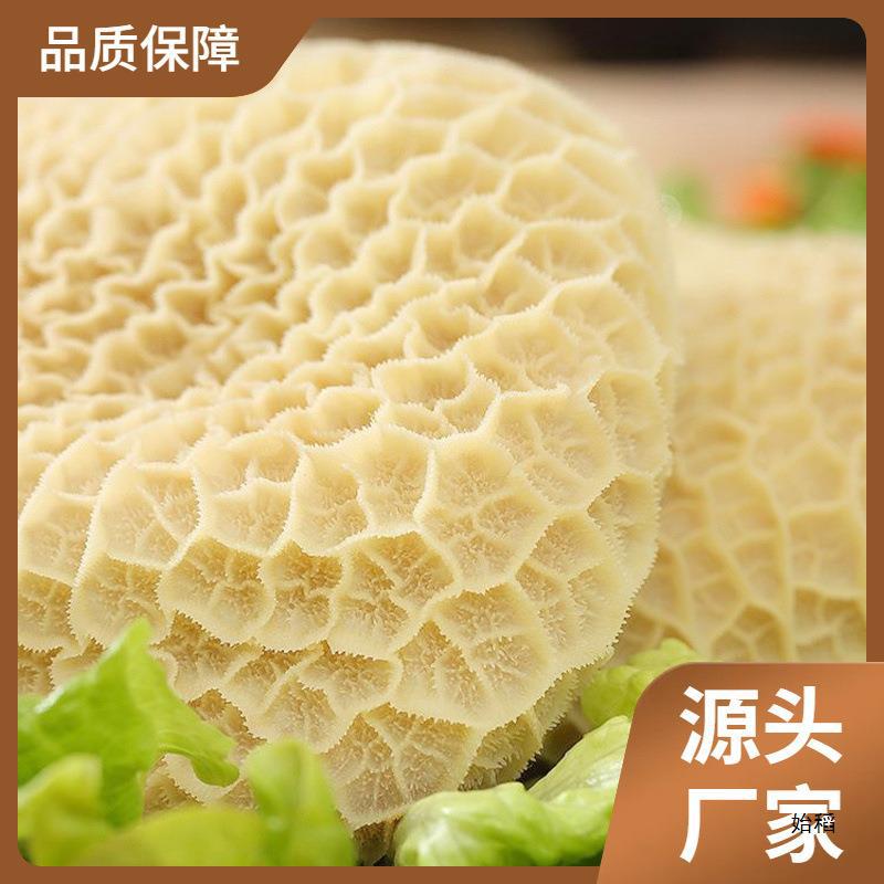 牛肚新鲜金钱肚4斤蜂窝肚商用非全熟牛大肚牛杂火锅食材串串卤菜