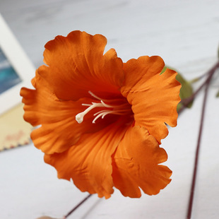 ����ľ�޻��Ƶ�͏d�����͏d�bٻ��������滨����ֲ��S�����l